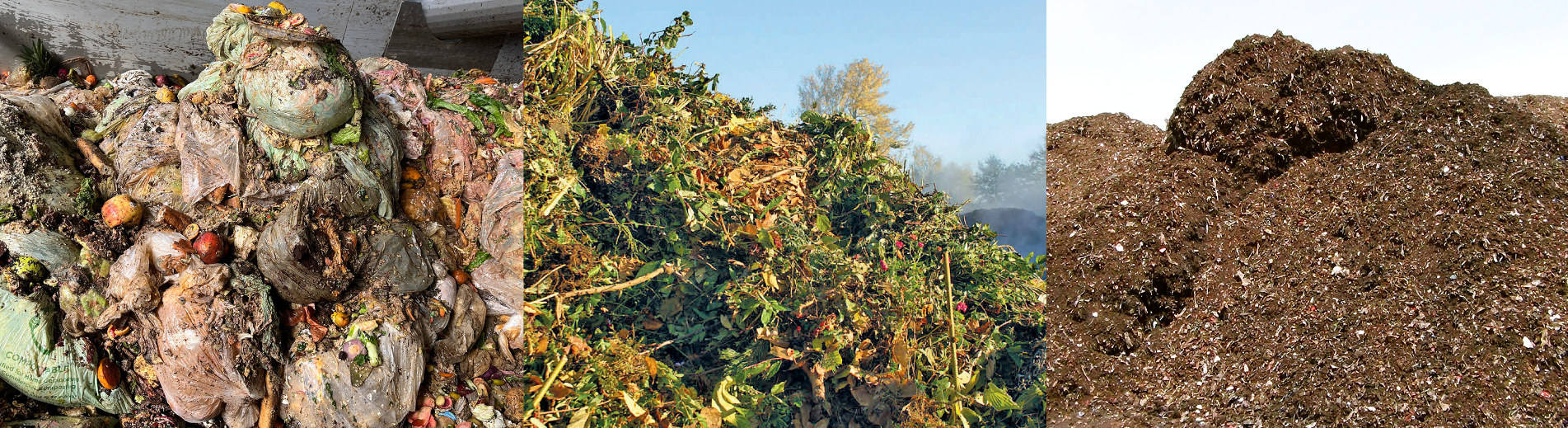 Organics processing van dyk recycling solutions